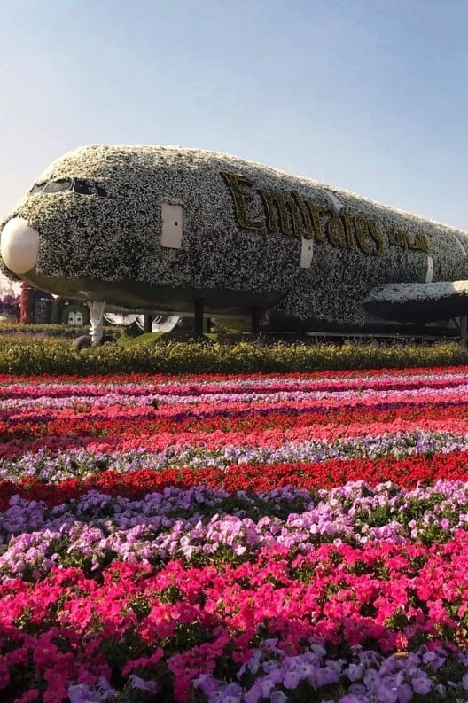 Miracle_garden